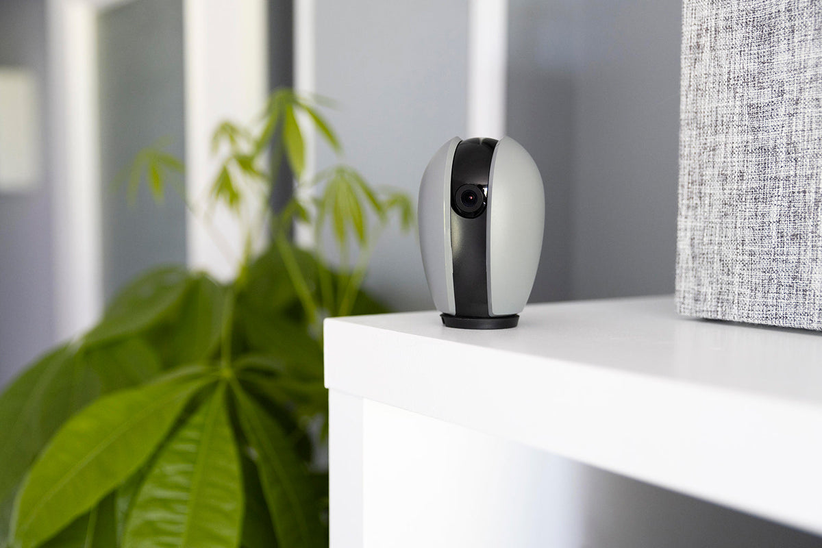 Keep an Eye on What Matters with Smart Home Cameras